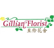 OUR SHOP 